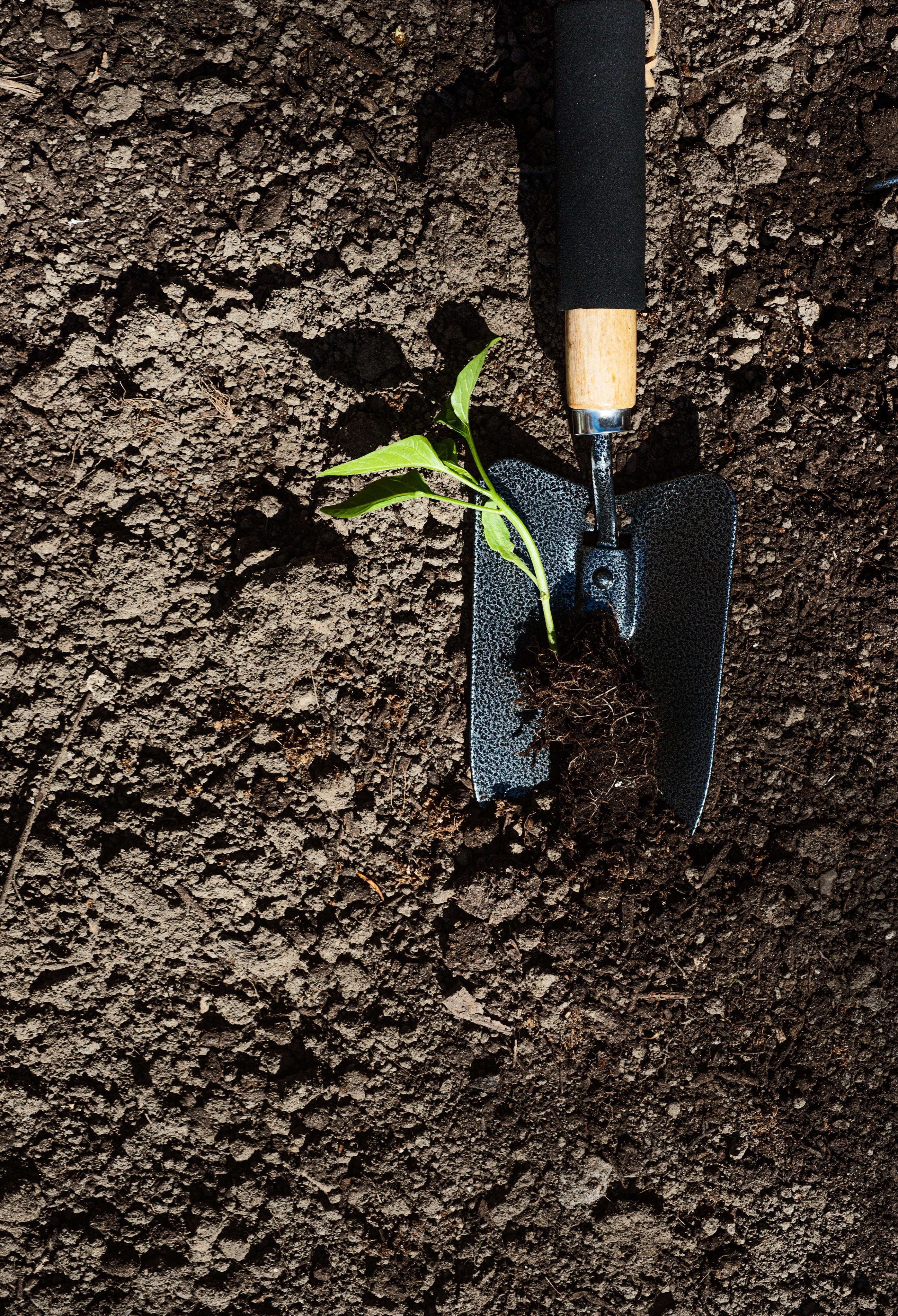 Garden Tools
