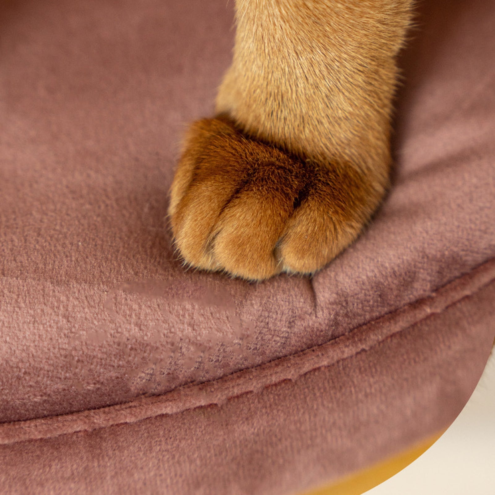 Plush Bed with Removable Cushion Comfortable Sleeping Nest for Cats and Small Pets